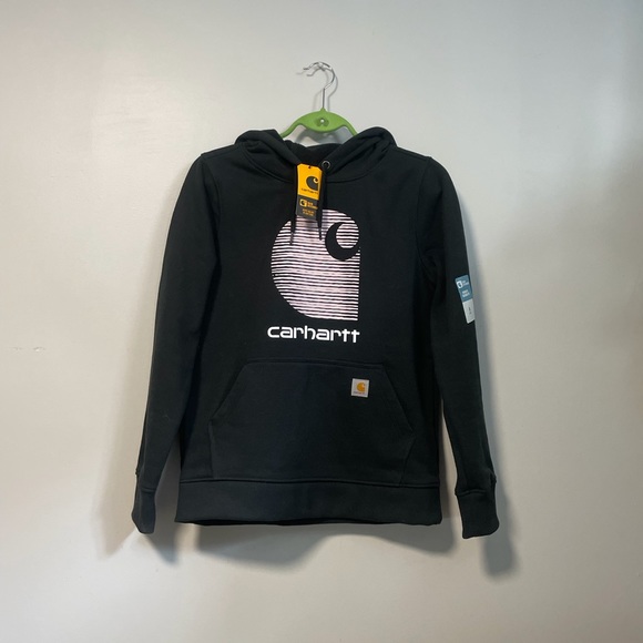 New with tags, never worn Carhartt Hoodie, - Picture 1 of 4
